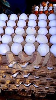 Eggs in a carton