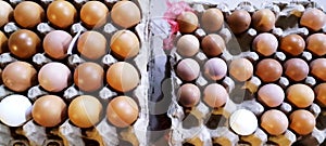 Eggs in a carton