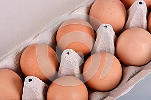 Eggs in a carton box
