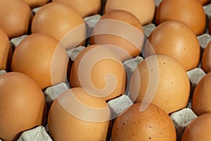 Eggs in carton box packaging . close up skin peel textured