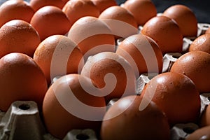 Eggs carton with chicken egg lined up in rows