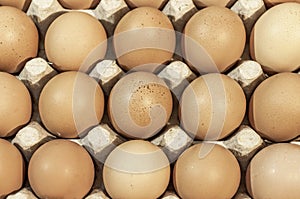 Eggs in carton package ready for backeying close up