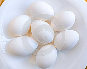 Uova uova pollame bianco strato galline pasto dettagliato immagine foto di tipo banca fotografica 