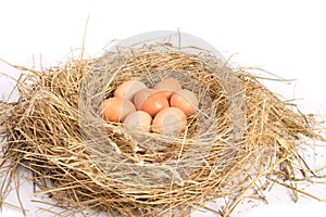 Eggs in a chicken nest on a white background