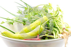 Eggs , chilli , vegetable, vegetable zucchini,Tablets colored