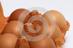 Eggs close up