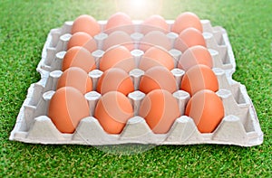 Eggs close-up. Big brown chicken eggs in a eggs box.