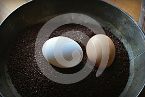 Eggs in Coffee Grounds