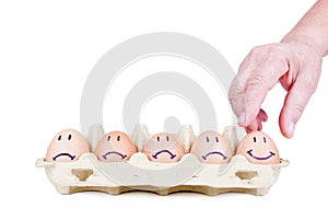 Eggs concept