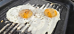 Eggs cooked with rosemary spice on a square grill pan