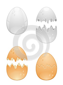 Eggs
