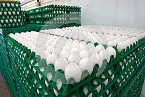 Eggs in crates