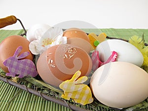 Eggs in easter basket photo