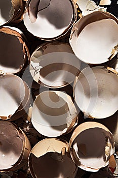 Eggs Easter Still Nature Composition