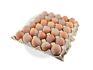 eggs in eco paper tray isolated on white background