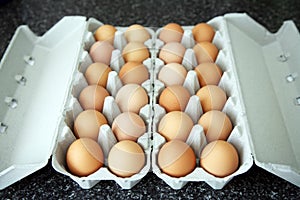 Eggs in an egg box photo