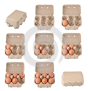 Eggs in an egg carton