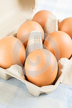 Eggs in egg carton on blue background