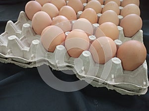 Eggs on egg paper tray close-up