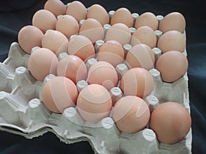 Eggs on egg paper tray close-up