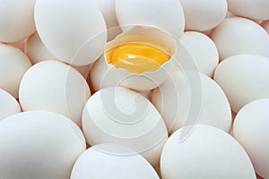 Eggs and egg yolk photo