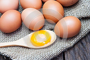 Eggs and egg yolks photo