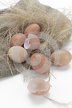 Eggs and eggshell