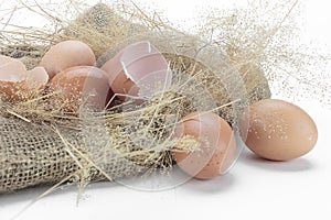 Eggs and eggshell