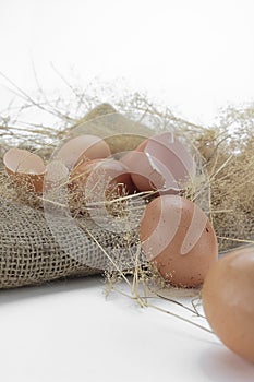 Eggs and eggshell