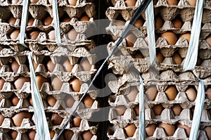 Eggs on Eggtray cardboard on market