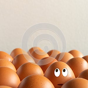 Eggs with eyes looking up. free space to write. funny face of eggs in a cardboard container