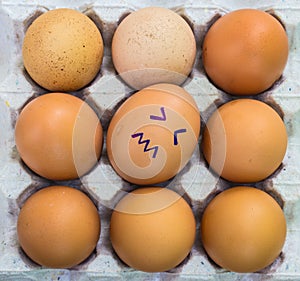 Eggs with faces