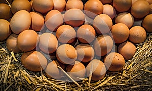 Eggs farm without GMOs on the market