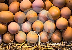 Eggs farm without GMOs on the market