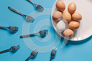 Eggs and forks, flat lay, oocyte fertilization, pregnancy, conception concept.