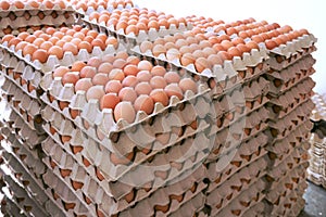 Eggs from fresh laying hens with neat arrangement at market