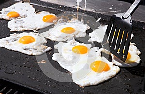 Eggs on a frying pan