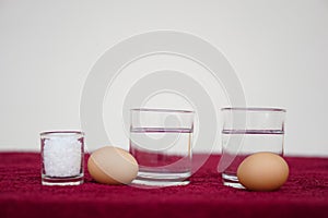 Eggs, glass of water and salt, prepare for doing science experiment.