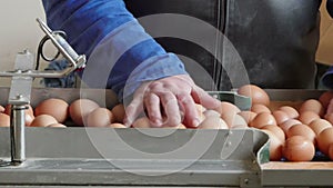 Eggs grading by weight and packaging production line at chicken farm