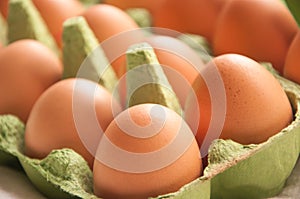 Eggs in green cartone diagonal perspective photo