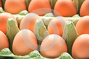 Eggs in green cartone photo