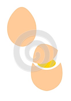 Eggs illustration