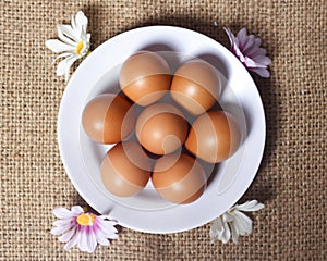 Eggs isolated on a bright background. Front photo. Egg wallpapers.