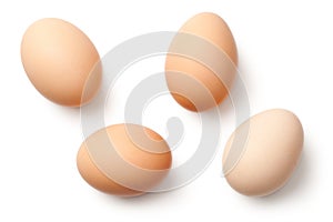 Eggs Isolated on White Background