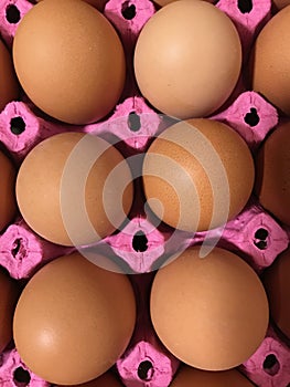 Eggs lined up in egg carton.