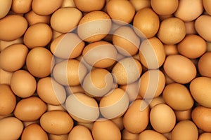 Eggs