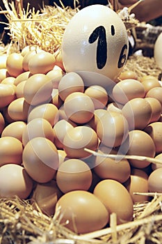 Eggs at Market