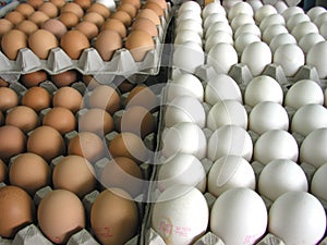 Eggs at the market