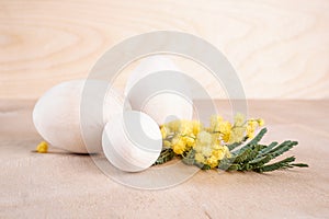 Eggs with a mimosa branch on a wooden background. Focus on the front egg