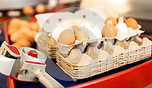 Eggs in modernized sorting shop